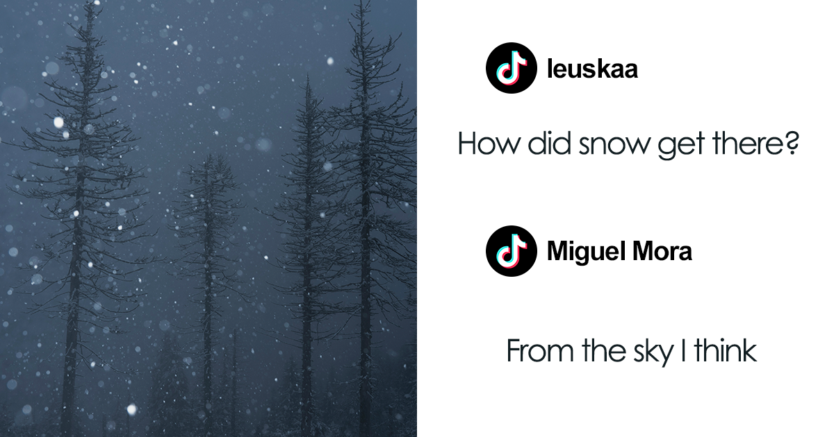 80 Weird , Funny , And Totally Unhinged TikTok Comments