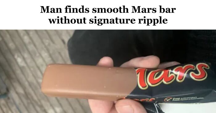 61 Wild Incidents That Would Be Hard To Believe If They Hadn’t Made Headlines