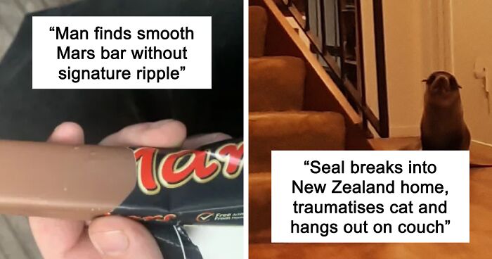 61 Wild Incidents That Would Be Hard To Believe If They Hadn’t Made Headlines