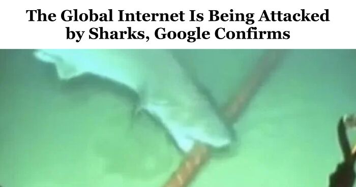 61 Wild Incidents That Would Be Hard To Believe If They Hadn’t Made Headlines