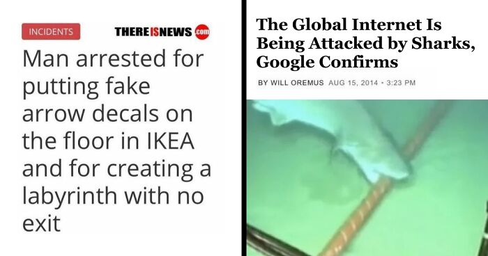 61 Wild Incidents That Would Be Hard To Believe If They Hadn’t Made Headlines