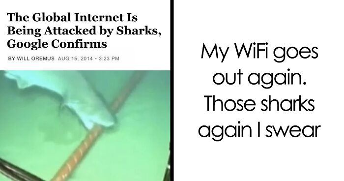 61 Wild Incidents That Would Be Hard To Believe If They Hadn’t Made Headlines