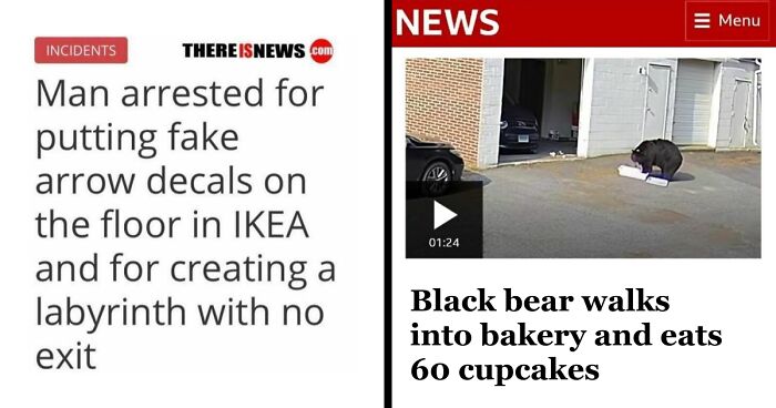 61 Wild Incidents That Would Be Hard To Believe If They Hadn’t Made Headlines