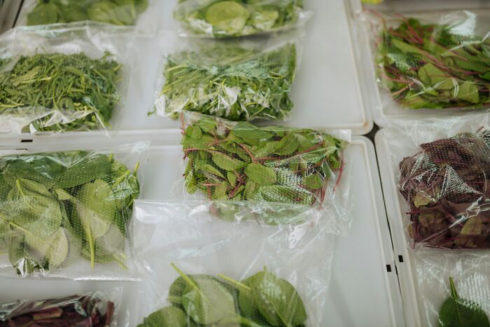 Various fresh herbs and greens packed in plastic bags on a white surface representing coworker organization challenges.