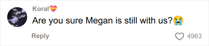 Comment on social media post expressing concern about someone named Megan, featuring crying emojis and a heart icon.