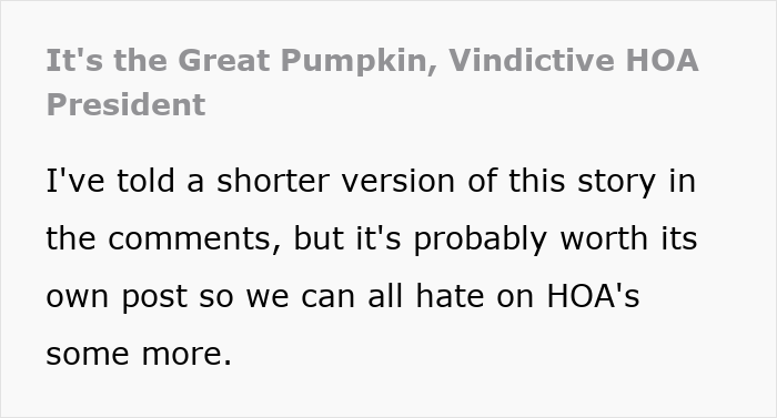 Text excerpt about vindictive HOA president and harassment incident involving couple, highlighting HOA president conflict.