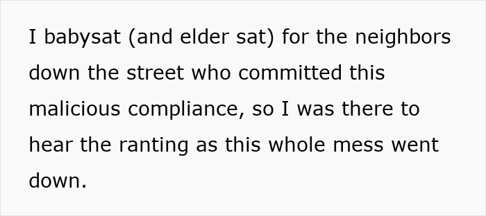 Text excerpt describing a neighbor&rsquo;s experience babysitting during a dispute involving a power-trip HOA president harassing a couple.