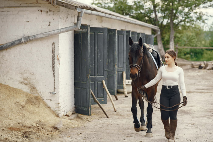 Young woman walking a horse near stable, illustrating family and labor dynamics with business under current challenges. Young woman walking a horse near stable, illustrating family and labor dynamics with business under current challenges.
