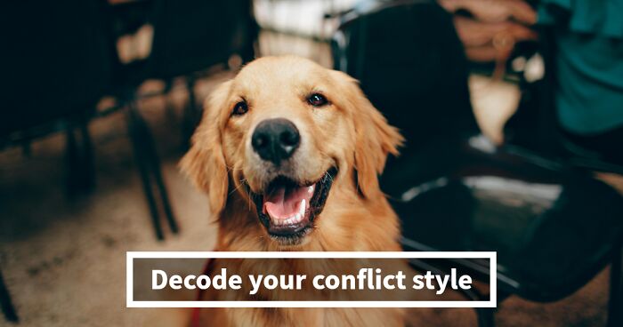 “How Do You Handle Conflict?”: Find Out What Kind Of Conflict Resolution Style Matches Your Personality