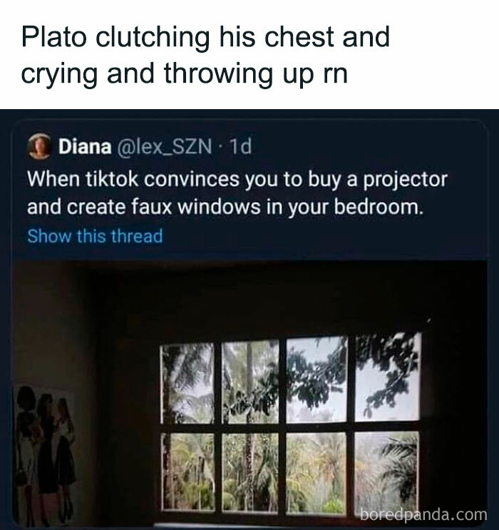 Meme about a projector creating faux windows in a bedroom highlighting weirdly normal dystopia moments.