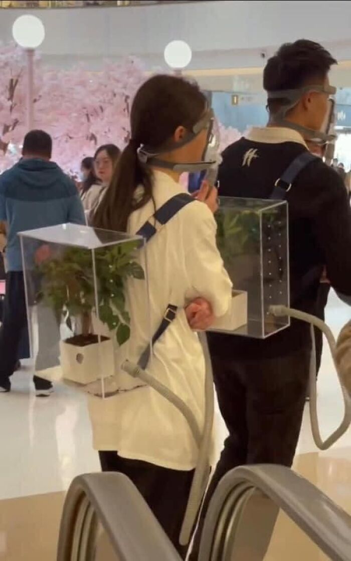 People wearing clear box backpacks with plants inside and face shields in a public space showing dystopia trends.