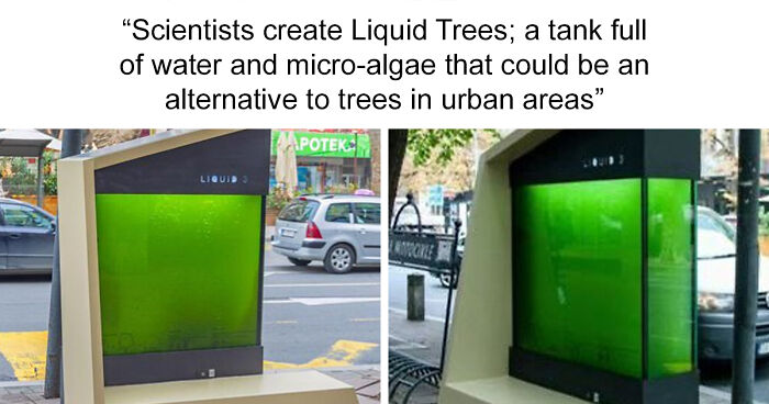 If These Days Feel Weirdly Normal, Here Are 102 Posts To Prove That We Live In An Actual Dystopia