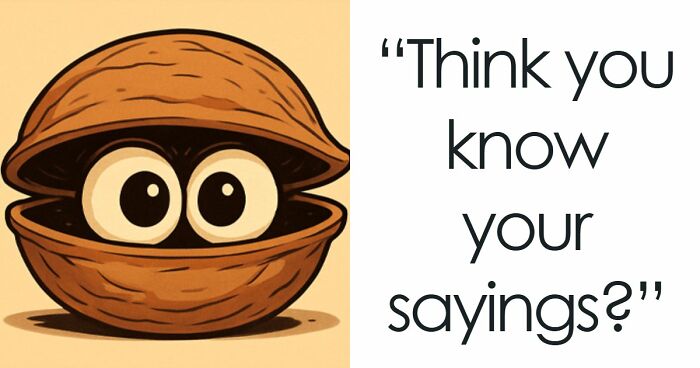 Match These Illustrations Of 35 Common Sayings To Prove Your Wisdom In This Visual Quiz