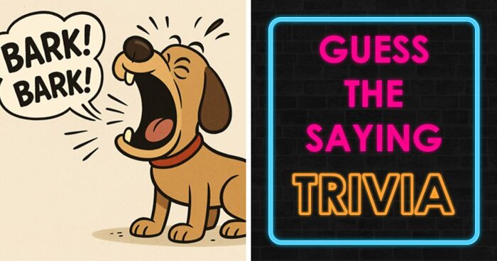 Match These Illustrations Of 35 Common Sayings To Prove Your Wisdom In This Visual Quiz