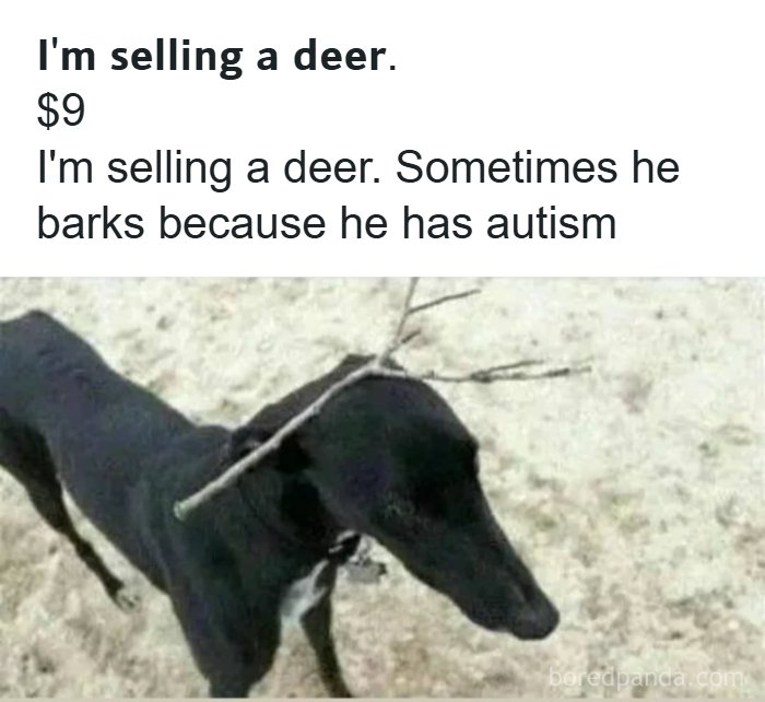Black dog with sticks on its head posed as a deer in a dark humor meme about selling unusual pets online.