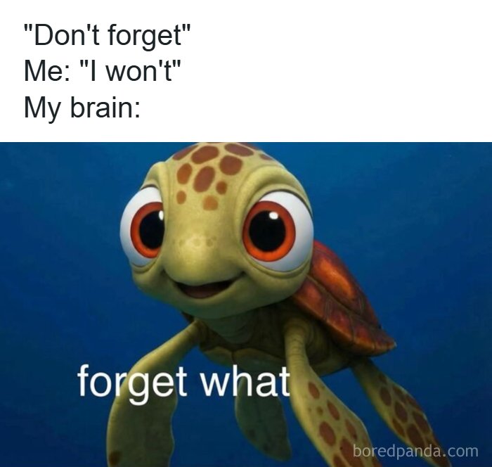 Funny meme featuring a confused animated turtle with big eyes and text about forgetting, showcasing randomness humor.