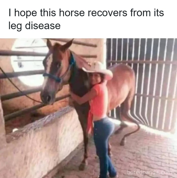 Woman in a cowboy hat hugging a confused horse with a leg disease, featured in dark humor hilarious memes.