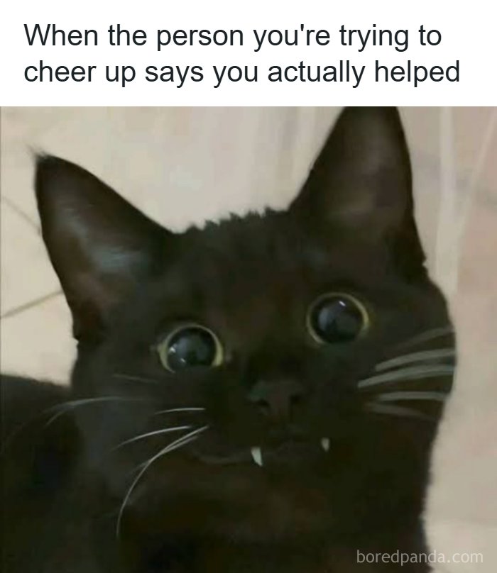 Black cat with wide eyes and small fangs expressing surprise in a hilarious post about humor as a coping mechanism.