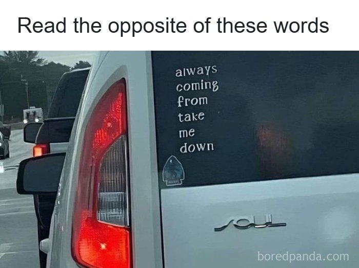 Car rear window with a meme sticker saying "always coming from take me down" and a toy bear, related to meme explanation.