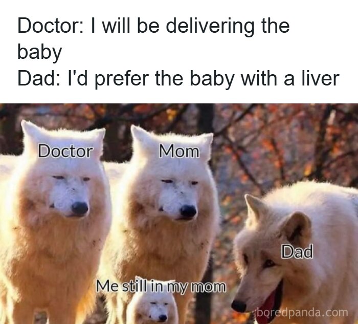Four wolves labeled doctor, mom, dad, and me still in my mom, illustrating a meme explained by a meme account.