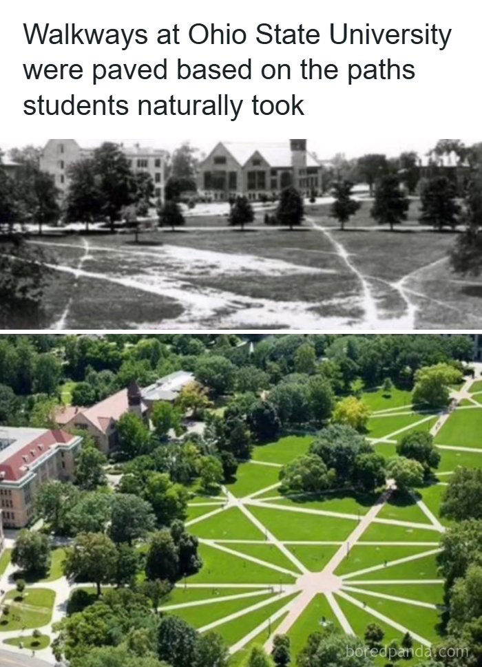 Aerial view of desire paths at Ohio State University showing how city planning aligns with natural walking routes.