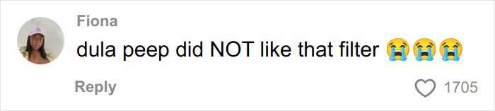 Comment from a user named Fiona reacting with crying emojis to a fan using a filter in a selfie with Dua Lipa.