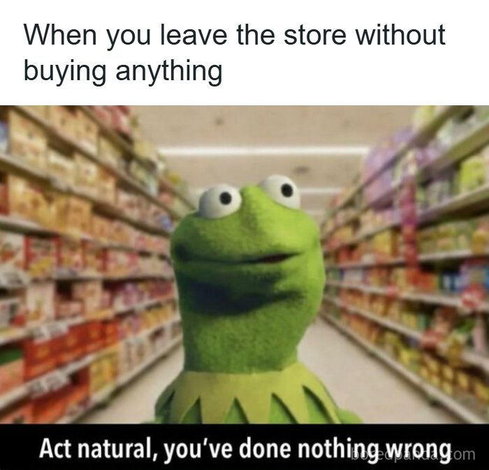 Kermit meme in a grocery store aisle joking about leaving without buying anything, fitting funny memes randomness theme.
