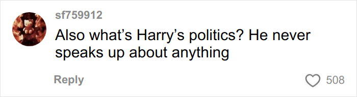 User comment about Harry Styles&rsquo; politics on social media, expressing frustration about his silence on issues.