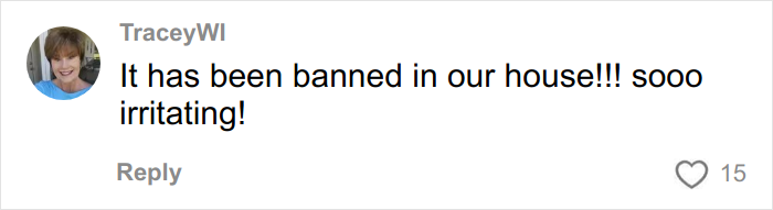 Screenshot of a social media comment expressing irritation about overused slang words to be banished in 2026. Screenshot of a social media comment expressing irritation about overused slang words to be banished in 2026.