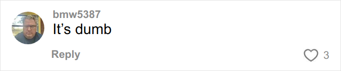 Screenshot of a social media comment with a profile picture and the overused slang phrase "It’s dumb" highlighted for 2026 banishment. Screenshot of a social media comment with a profile picture and the overused slang phrase "It’s dumb" highlighted for 2026 banishment.