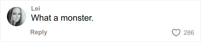 Comment from Lei stating what a monster in response to Firerose drops bombshell audio supporting accusations against Billy Ray Cyrus.