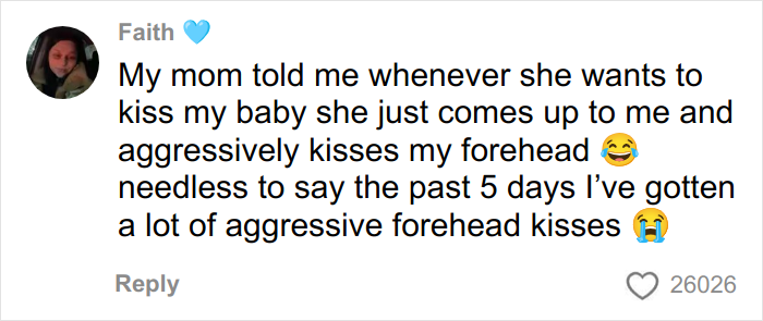 Alt text: Social media comment about a woman&rsquo;s gentle reminder to grandma not to kiss her baby, sparking viral internet opinions.