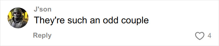 Comment reading They're such an odd couple on a social media post discussing Lip Reader reveals vicious fight between Timoth&eacute;e Chalamet and Kylie Jenner.