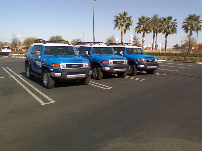 Glitches In The Matrix: three identical blue Toyota SUVs parked side by side in a sunny palm-lined parking lot
