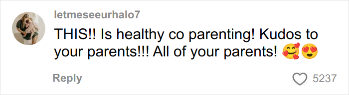 Screenshot of a social media comment praising healthy co-parenting and multiple parents, reflecting reactions to woman with 7 parents.