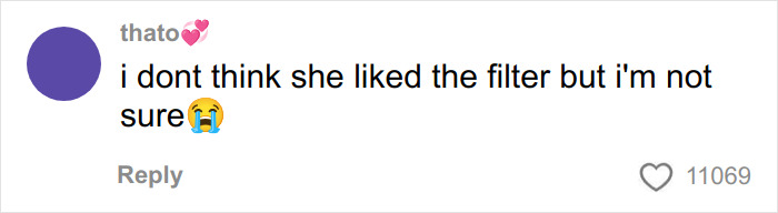 Comment on a social media post about Dua Lipa looking stunned after a South African fan used a filter on their selfie.