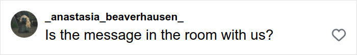 Comment from Instagram user anastasia_beaverhausen asking if the message is in the room with us, related to Timoth&eacute;e Chalamet's tone deaf message for fans in Ukraine backlash.