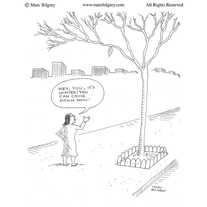 Marc Bilgrey cartoon shows a woman speaking to a lone leaf on a tree, blending everyday life with witty irony.