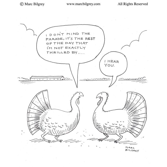 Two turkeys in a field in a Marc Bilgrey cartoon sharing witty and ironic dialogue about everyday life frustrations.