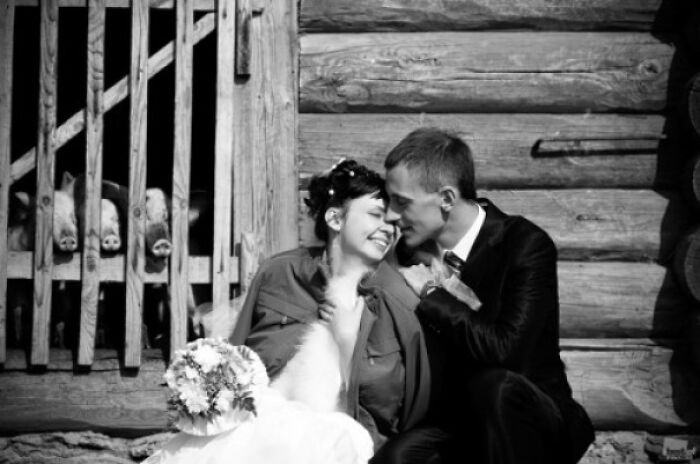 Bride and groom sharing a candid moment outside a rustic wooden cabin with animals visible behind a fence in an awkward wedding photo.