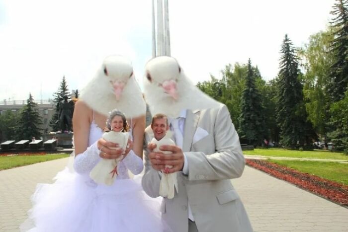 Bride and groom holding white doves with faces humorously replaced by birds in an awkward wedding photo moment.