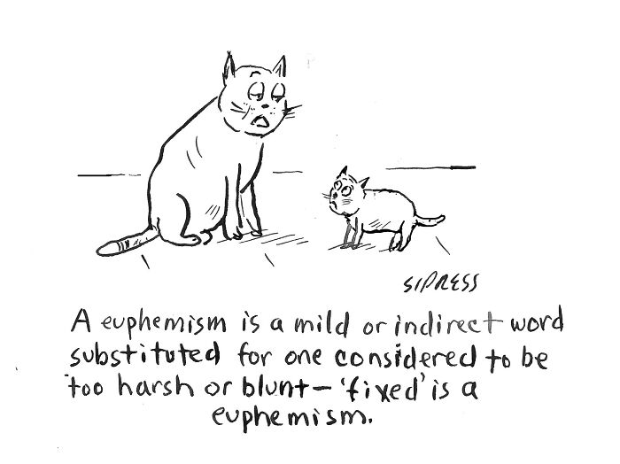Hand-drawn New Yorker cartoons by David Sipress showing cats with a humorous message about euphemisms in black and white.