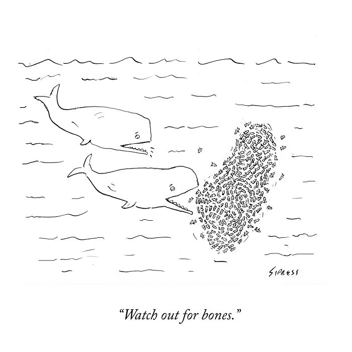 Two whales underwater, one warning the other about a large bone-shaped cluster of fish, New Yorker cartoons by David Sipress.