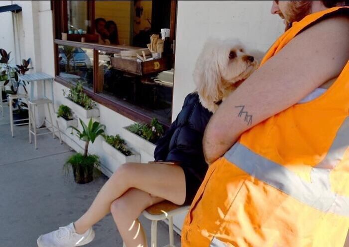 Street photographer captures perfect coincidence of a man in orange vest with dog appearing as his head outside a cafe.