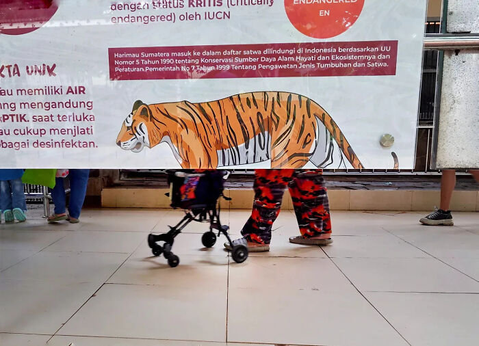 Street photo shows person’s legs in tiger-patterned pants walking with stroller, perfectly timed urban street shot.
