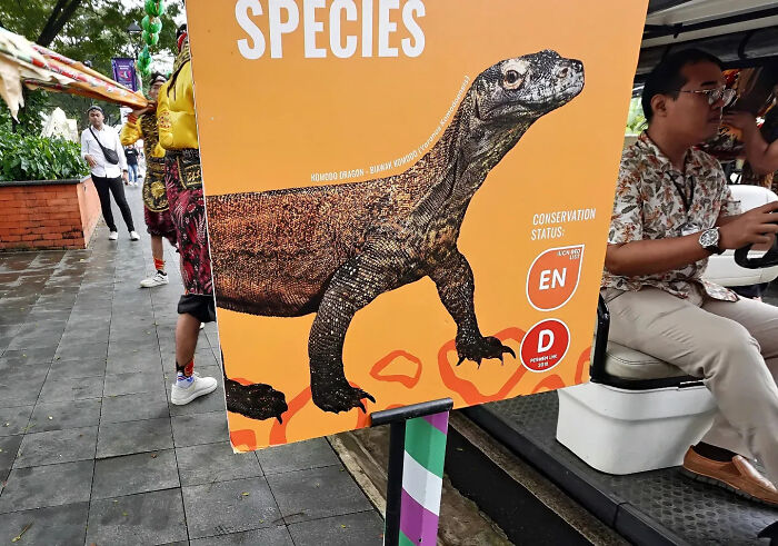 Street photographer captures perfectly timed urban scene with people walking past a large monitor lizard conservation sign.
