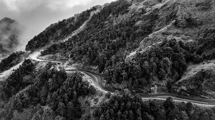 Aerial view of winding mountain road through dense forest captured in breathtaking black and white Exposure One Awards photo.