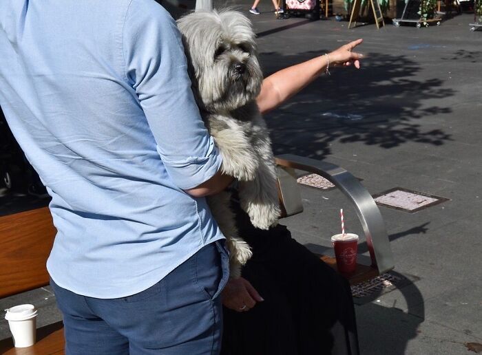 Man holding a dog while a person sitting on a bench points, capturing a perfect street photography coincidence.