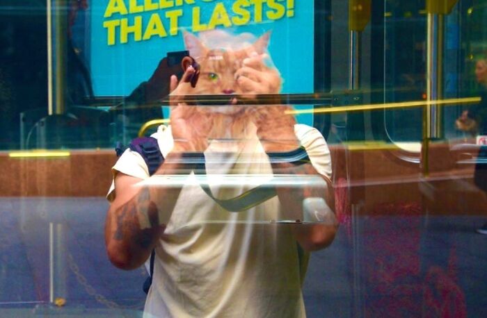 Street photographer captures perfect coincidence of a cat's face aligning with a person taking a photo through glass.