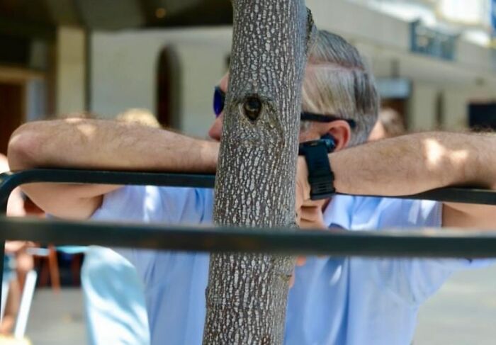 Street photographer captures perfect coincidences as a person's arm and tree trunk align seamlessly in an urban setting.
